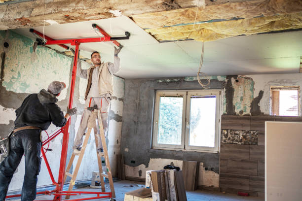 Best Insulation Inspection Services  in Castle Pines, CO