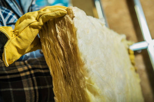 Best Best Insulation Companies  in Castle Pines, CO