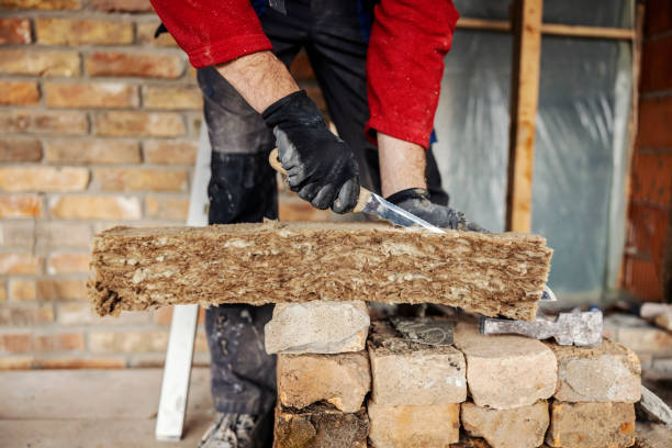 Best Insulation Replacement Services  in Castle Pines, CO