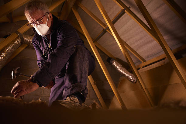 Best Wall Insulation Contractor  in Castle Pines, CO