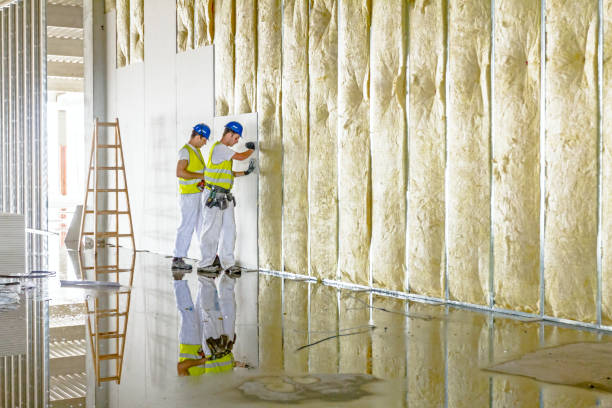 Best Energy-efficient Insulation  in Castle Pines, CO